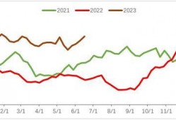 王茜 麻豆,时尚界的璀璨新星